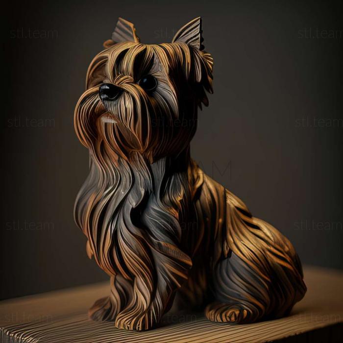 Animals Beaver is a Yorkshire terrier dog